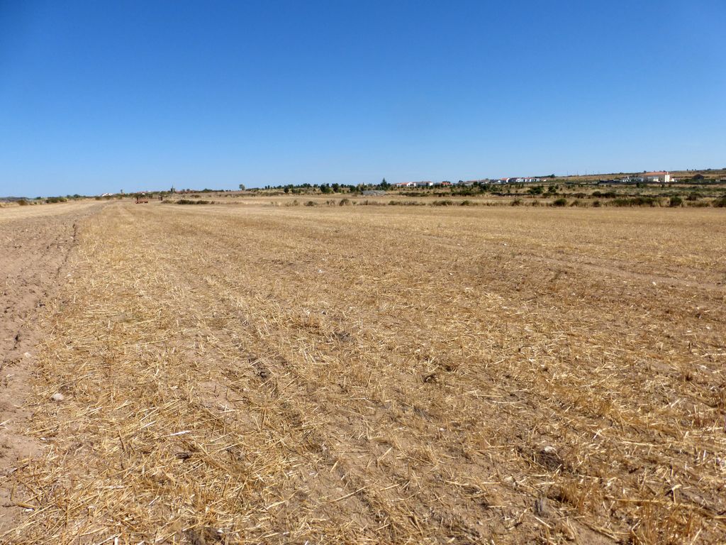 Agricultural land